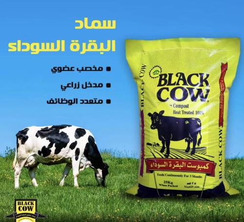 سماد عضوي البقرة السوداء