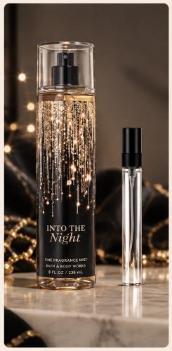 INTO THE NIGHT