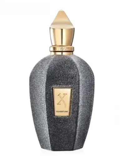 عطر زيرجوف أوفرتشر 100 مل _ تستر