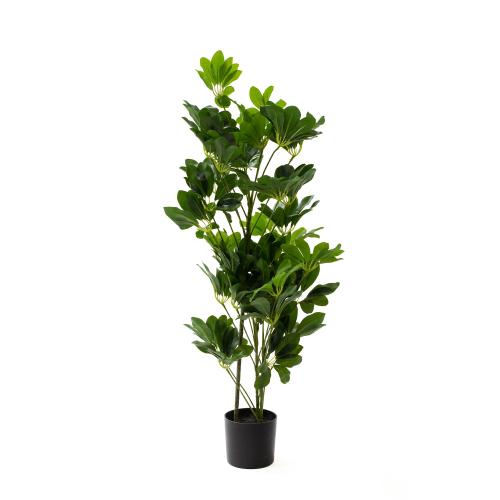 شجرة ديكورية صناعية شيلفيرا – أوراق واقعية، ارتفاع...