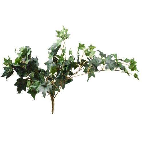 خضارات هيدرا صناعية متدلية – أوراق واقعية