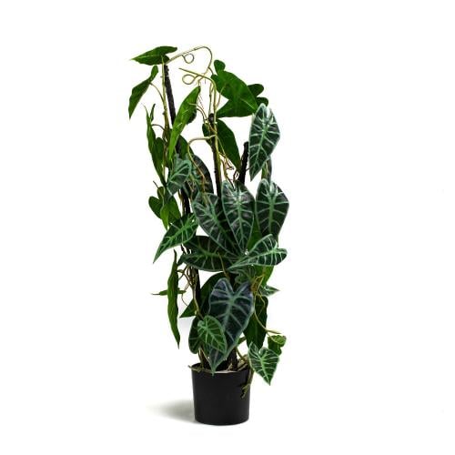 نبتة كالاديوم صناعية متسلقة في وعاء أسود – ارتفاع...