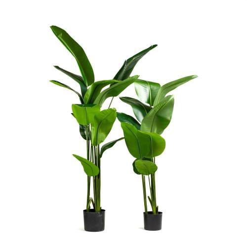 شجرة موز صناعية واقعية – متوفرة بمقاسين 160 و190 س...