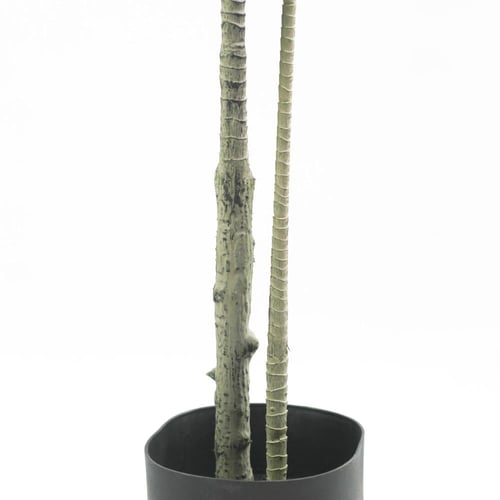 شجرة دراسينا صناعية بارتفاع 180 سم – أوراق واقعية...