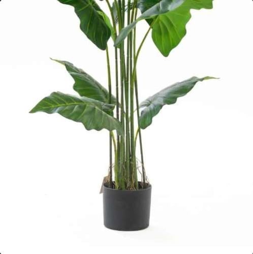 نبات القلقاس الاستوائي الصناعي – شجرة ديكور بأوراق...