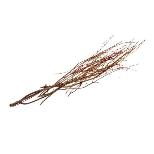 اعواد نباتيه خشب طبيعي جاف