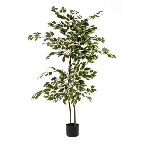 شجرة صناعية فيكوس هاواي – لمسة ديكورية للمنزل والم...