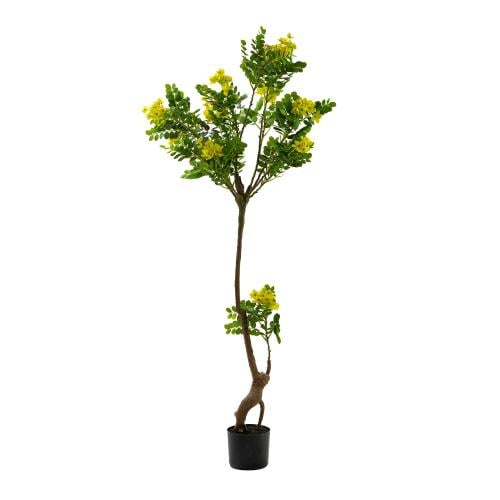 شجرة صناعية كاسيا جلوكا – أوراق خضراء وزهور صفراء،...