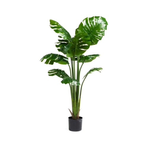 شجرة مونستيرا ديليسيوسا صناعية – ارتفاعين 125 و160...