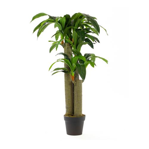 شجرة دراسيناء للديكور المنزلي والمكتبي – نبات صناع...