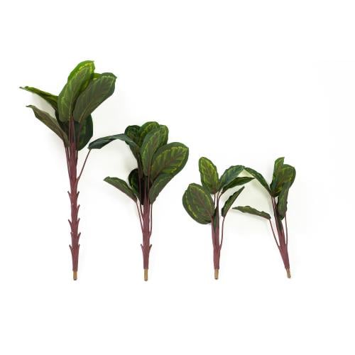 خضار صناعي كالاتيا بيكوك – أوراق ديكورية طبيعية طق...