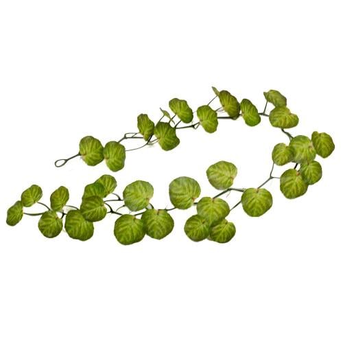 نبات صناعي متدلي – تصميم واقعي للديكور 180سم