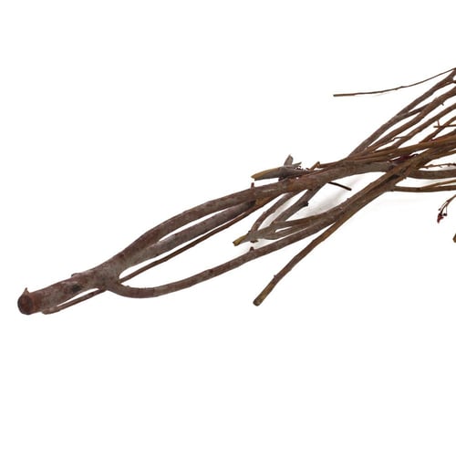 اعواد نباتيه خشب طبيعي جاف