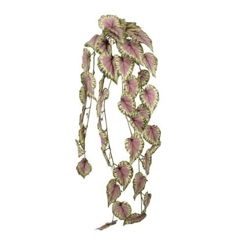 خضارات صناعية بيغونيا ريكس – أوراق ملونة بنفسجي وأ...