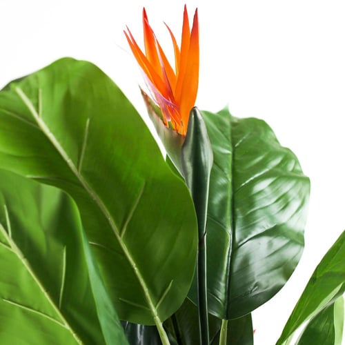 شجرة عصفور الجنة الصناعية – ارتفاع 120 سم – أوراق...