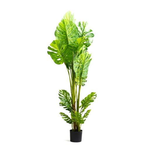 شجرة مونستيرا مبرقشة صناعية – ارتفاع 170 سم