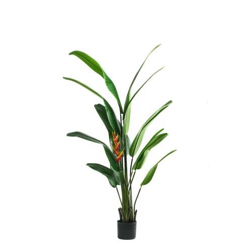 شجرة عصفور الجنة الصناعية – Strelitzia بارتفاع 180...