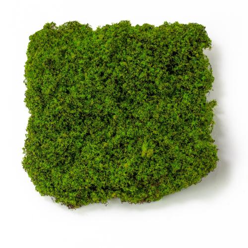 خضارات صناعية – دائري 45 سم (للجدران والأرضيات)