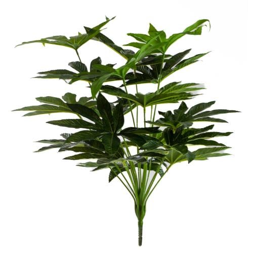 خضار باشيرا 45سم سم بدون حوض