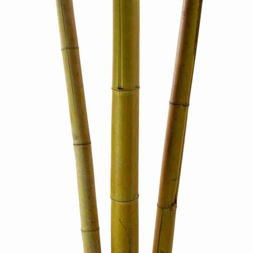 خشب بامبو طبيعي – خامة ديكورية متعددة الاستخدامات