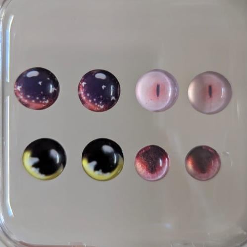 مجموعة القطط