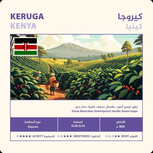 كينيا كيروجا - نهج | Keruga