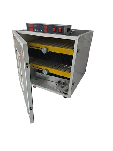 طبق رول ٦٠ بيضه كامل