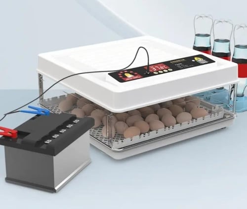 فقاسه ٣٦ بيضه فل اتماتيك