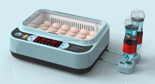 فقاسه مقاس ٢٤ بيضه