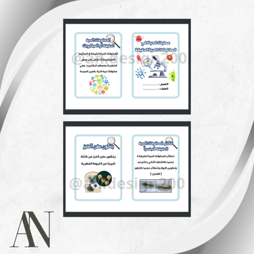 مطويات علوم سادس | الترم الأول كامل