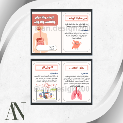 مطوية علوم سادس (الهضم والإخراج والتنفس والدوران )