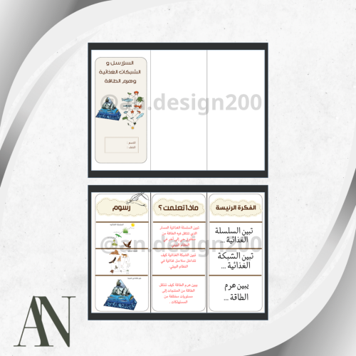 علوم سادس السلاسل و الشبكات الغذائية