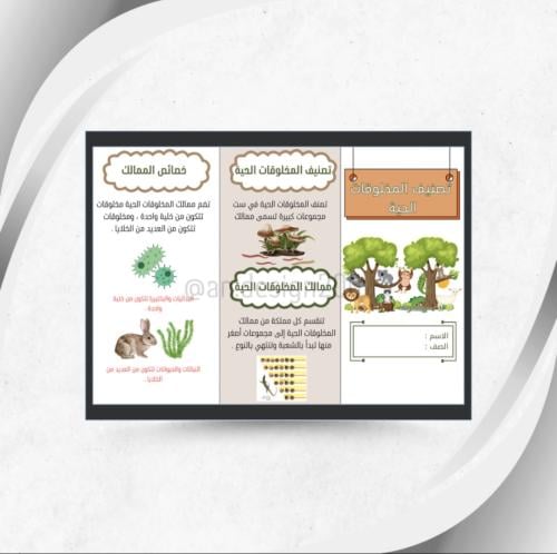 علوم رابع تصنيف المخلوقات الحية