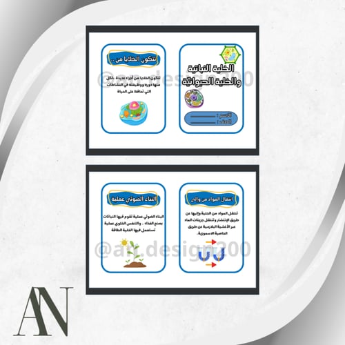 مطويات علوم سادس | الترم الأول كامل