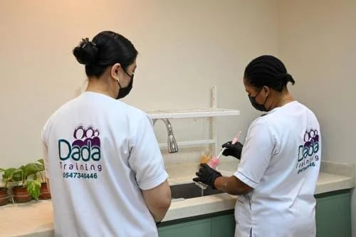 Kitchen cleaning training