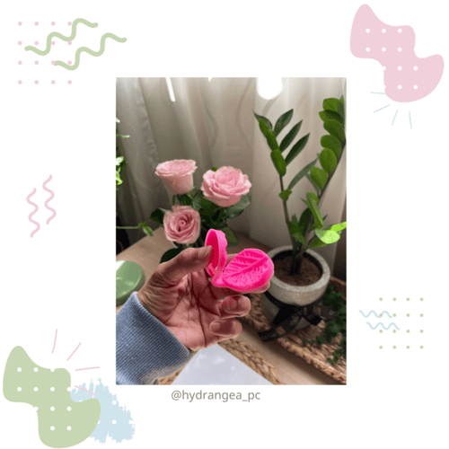 تأثير ورق شجر