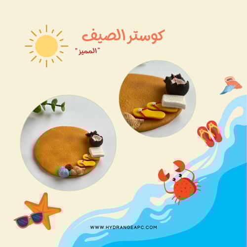 بوكس تجربة الكوستر الصيفي