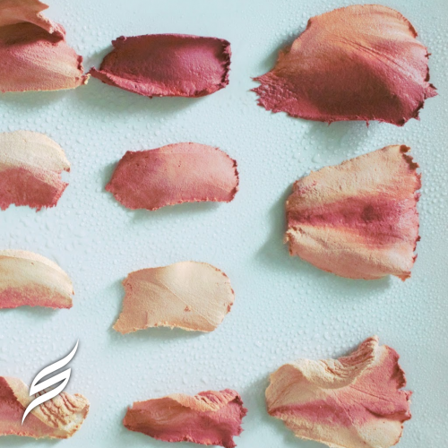 دورة تهيئة لعالم تشكيل ورد (تيليقرام أونلاين)