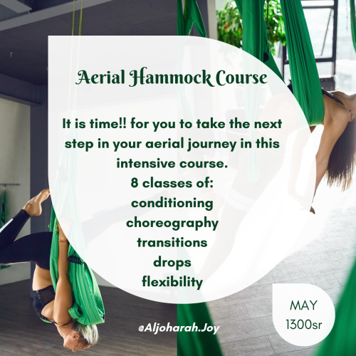 Aerial Hammock Course