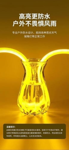 لي زينة خارجي IP67 رول 50 متر