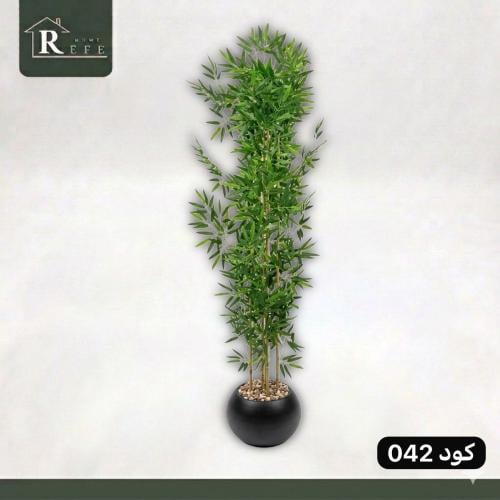 شجرة بامبو 5 فرع اسود