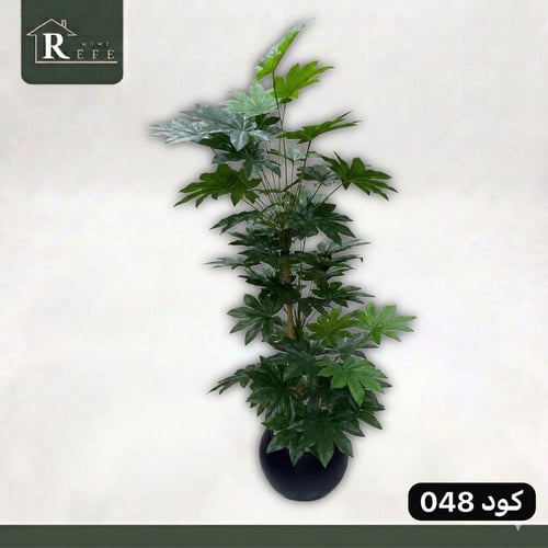 شجرة همالايا ورق عنب