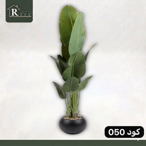 شجرة موز 200 سم