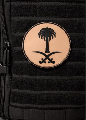 سيفين ونخلة