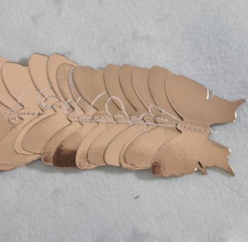 Butterflies Banner | بانر الفراشات