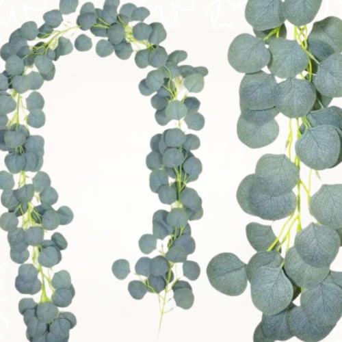 بوكس العروس