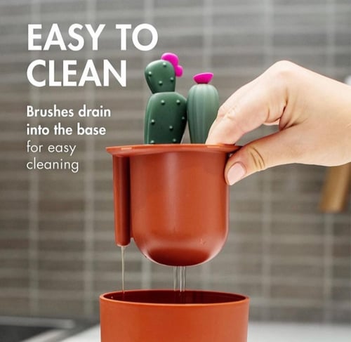 مجموعة فرش تنظيف زجاجات بشكل صبار من بون من 4 قطع...