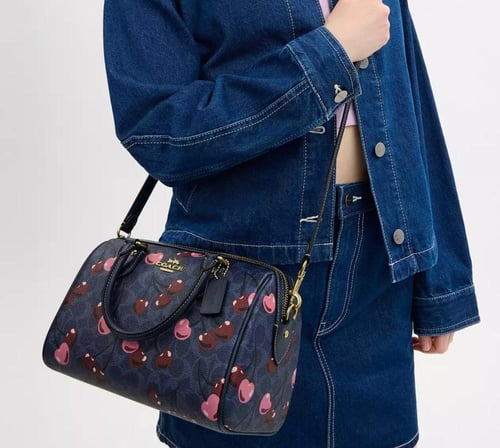 Rowan Satchel Bag In Signature Canvas With Cherry...