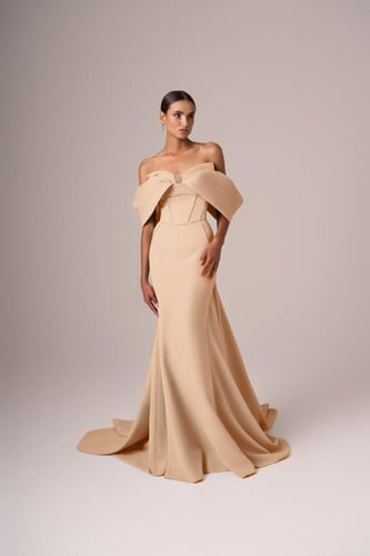 Evening dress 2025