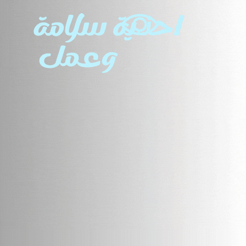 حذاء عمل سفتي CAT Safety Shoes/ste/ 91779 CT EH SR...